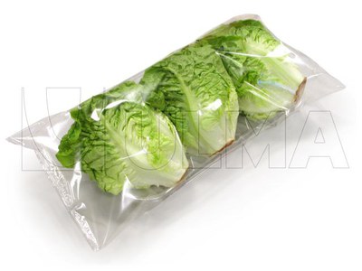 atlanta lettuce.jpeg