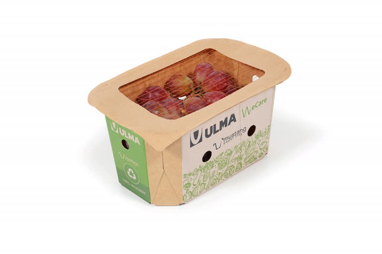 Traysealing grapes in cardboard tray TSA 4.jpg Traysealing grapes in cardboard tray TSA 4.jpg