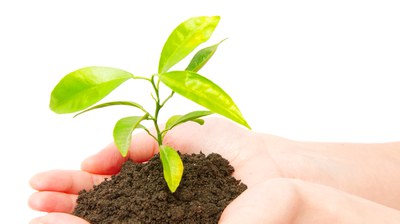 ulma we care plant.jpg