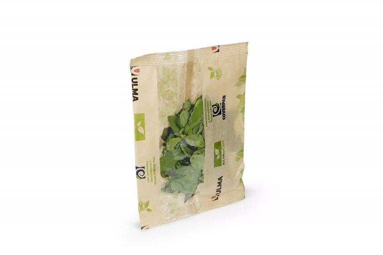 Vertical Venturi fresh leaves.jpg Vertical Venturi fresh leaves.jpg