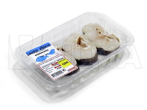Fresh conger slices in traysealing