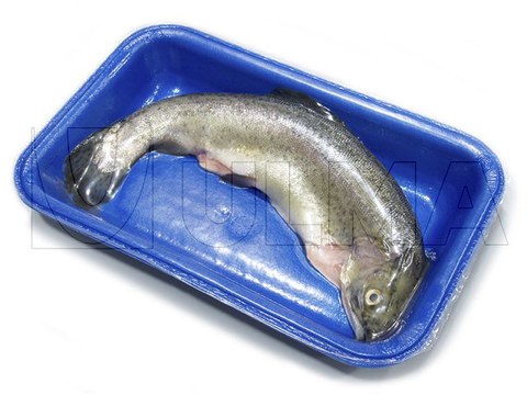 Fresh whole fish packaging in traysealing in skin pack