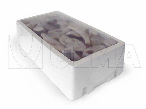 Sleeve wrapping of expanded polystyrene box with fresh fish with low density polyethylene shrink film (LDPE)