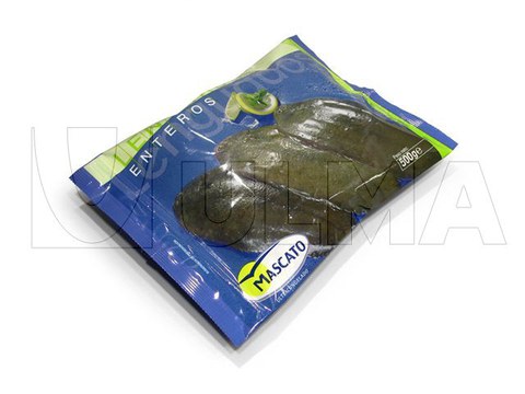 Frozen fish fillet packaging in VFFS machine in laminated film.