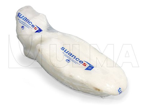 Frozen fish portions packaging in flow pack (hffs)