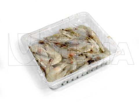 Frozen prawns packaging in traysealing