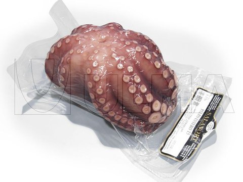 Whole octopus vacuum packaging in thermoforming