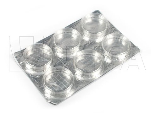 Plate packaging for reactive products in thermoforming in rigid film