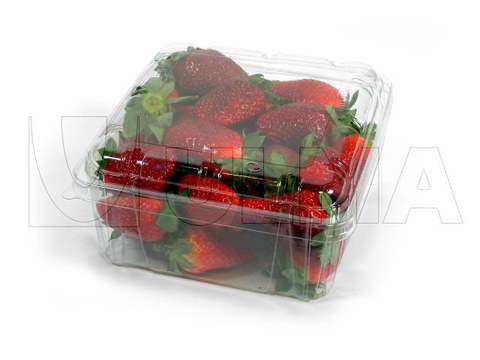 Strawberry packaging in trays with automatic lid placing machine