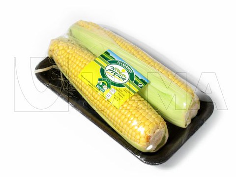 Ear of corn packaging in expanded tray and strech PVC film.