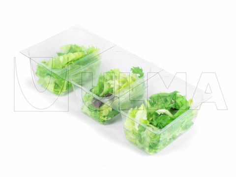 Lettuce tray packaging in traysealing