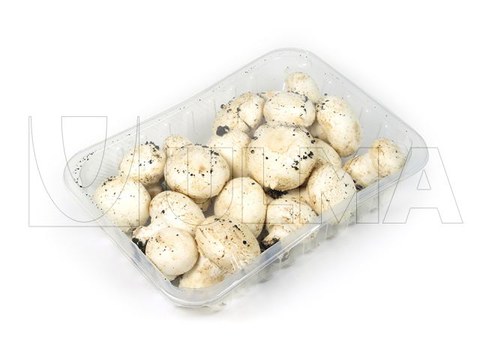 Mushrooms packaging in traysealing