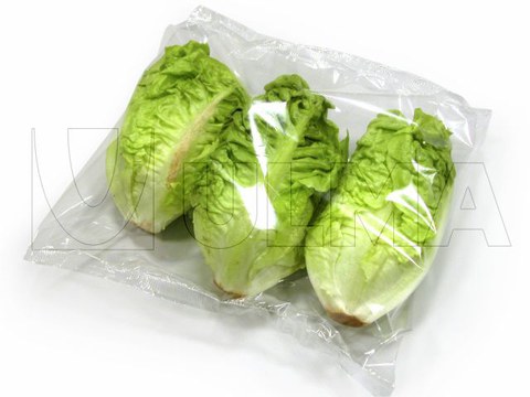 Baby lettuce packaging in flow pack wrapper (HFFS)