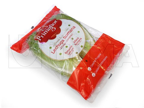 Romaine lettuce packaging in flow pack (hffs)