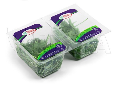 Rucula packaging in traysealing with modified atmosphere (MAP)